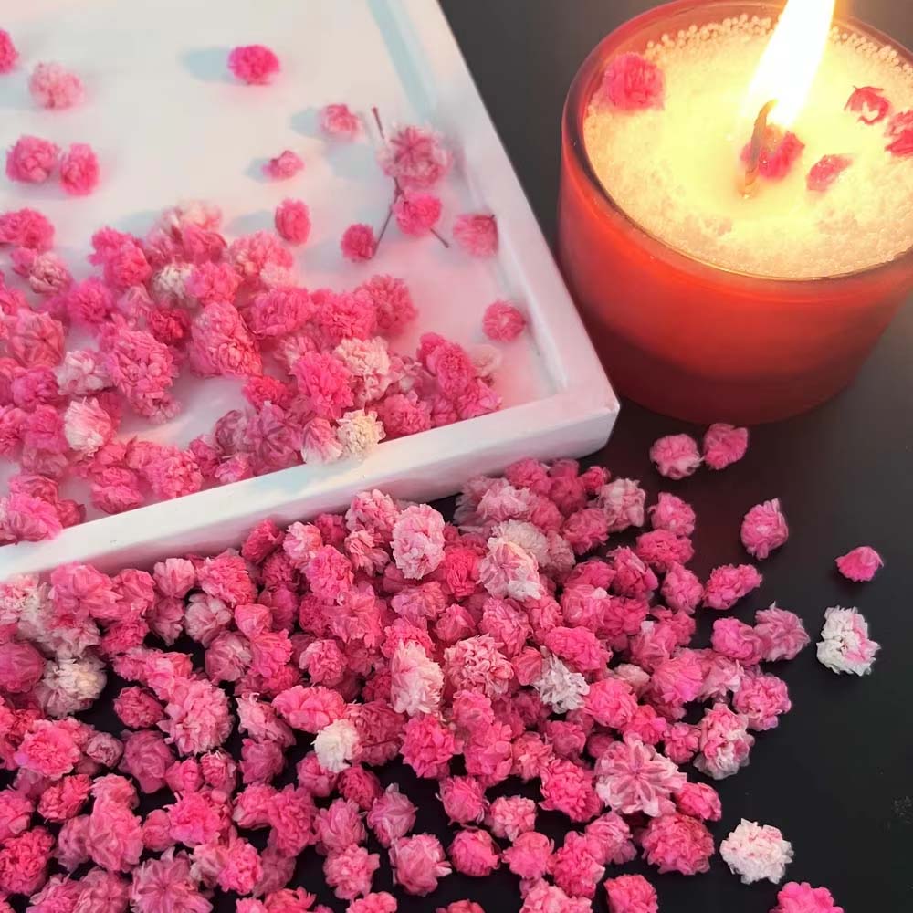 1箱フラワーミックス、工芸品、キャンドル作り、押し花、ピンク - Resin Art Earrings Design のレビューと価格