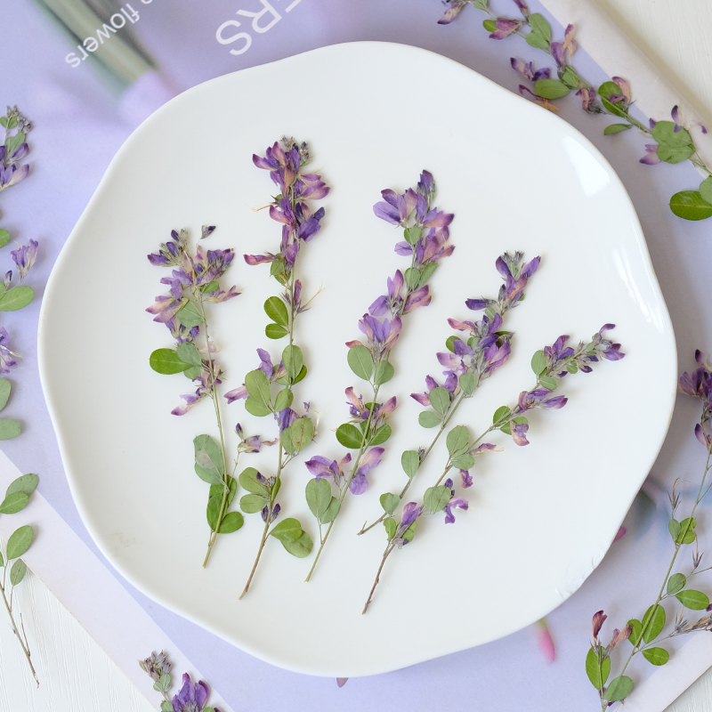 6個入り、天然レスペデザのドライプレスフラワー、植物標本絵画 - Resin Art Photo Frame のレビューと価格