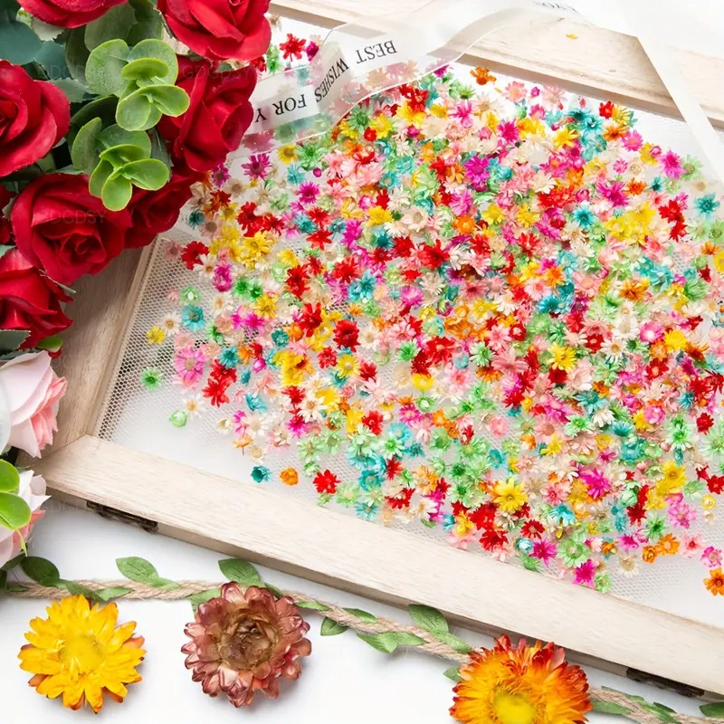 クラフト用クラシック造花ミックス - レジンアート、ネイルデ - Resin Art Earrings Design のレビューと価格