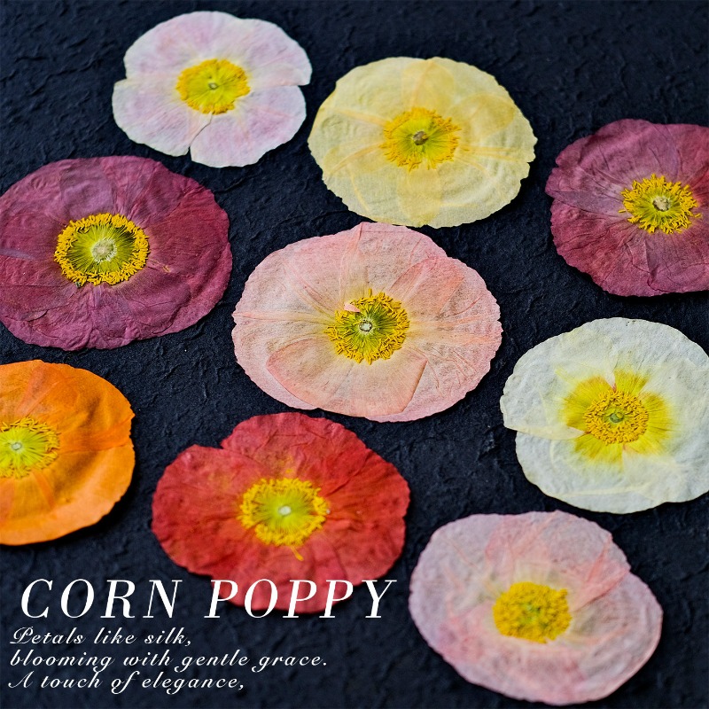 1個入り、天然野薬草押し花DIY樹脂型スクラップブック植物フ - Resin Art Photo Frame のレビューと価格