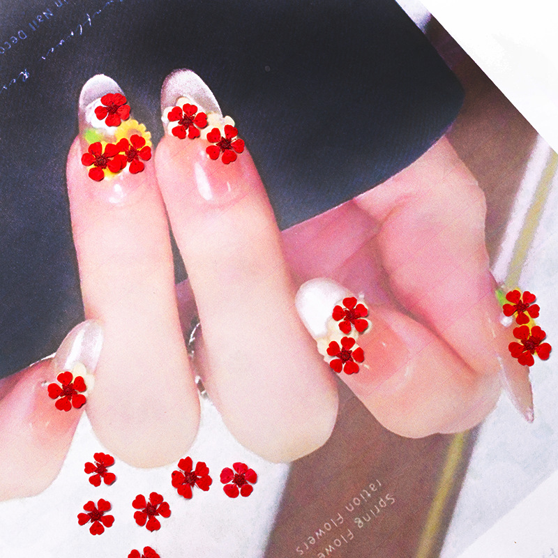 96個入り ミニ1.5cm 天然押し花 カラフルで鮮やかなパ - Resin Art Photo Frame のレビューと価格